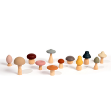 Load image into Gallery viewer, Wood + Silicone Mushroom Sorting Set
